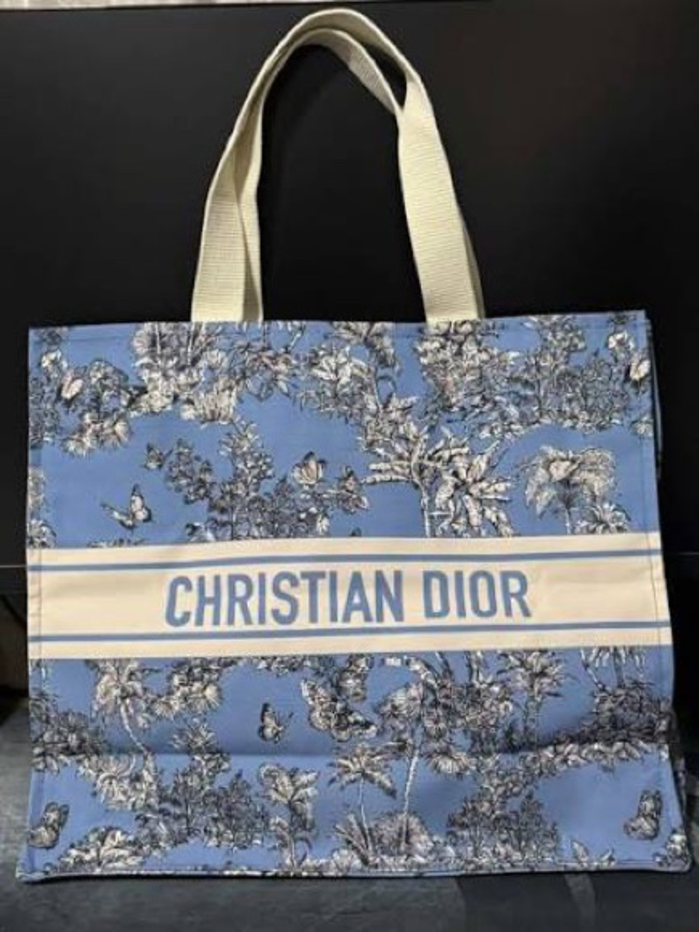 Christian Dior Blue Diorivera Tote Bag NWT
